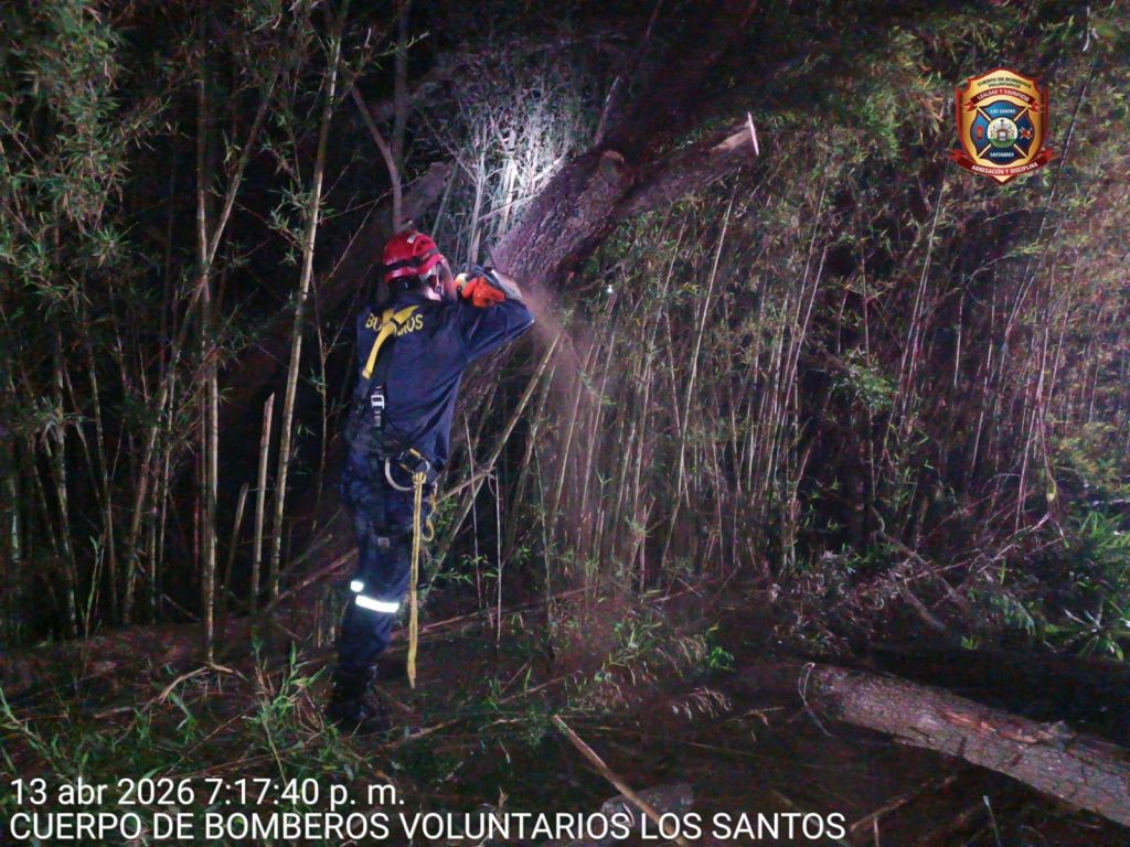 WhatsApp Image 2026-04-14 at 12.10.08 (1)