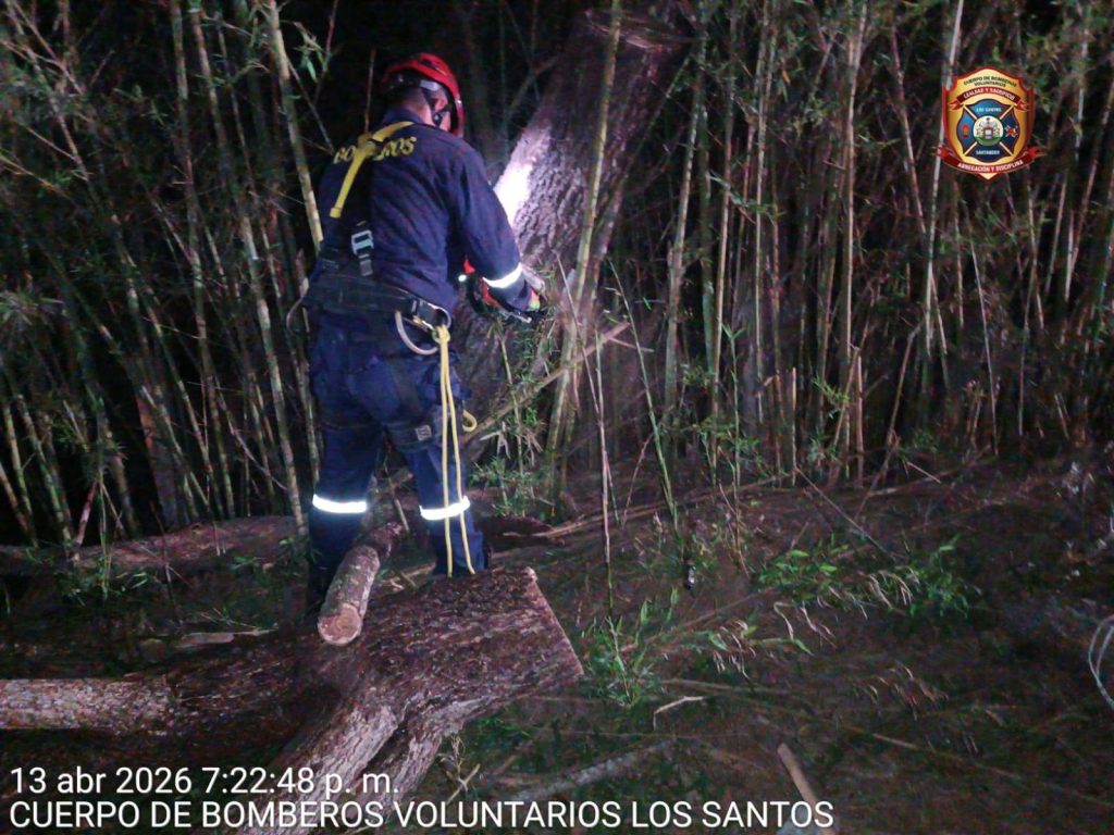 WhatsApp Image 2026-04-14 at 12.10.08